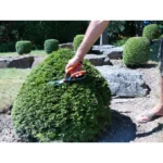 Garten PRIMUS Buchsbaumschere, klein, Länge: 260 mm