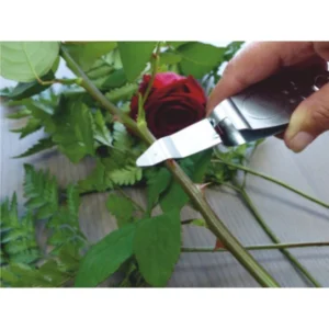 Garten PRIMUS Rosenentdorner, Länge: 145 mm