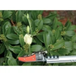 Garten PRIMUS Schneidgiraffe Rosenkavalier, klein