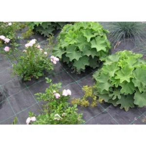 TerCasa Anti-Unkrautgewebe, 2 x 10 m, schwarz