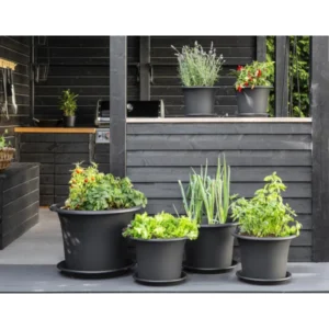 orthex Blumentopf BOTANICA