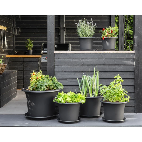 orthex Blumentopf BOTANICA, Durchmesser: 400 mm, schwarz 2 orthex Blumentopf BOTANICA, Durchmesser 400 mm, schwarzer Pflanzkübel aus robustem Kunststoff, ideal für Pflanzen in Innenräumen und auf Terrassen.