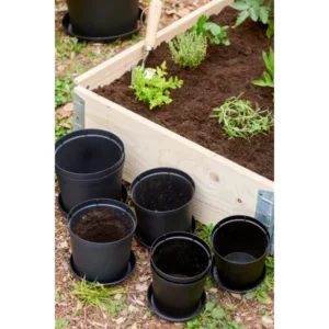 orthex Blumentopf CULTIVATE, Durchmesser: 210 mm, schwarz