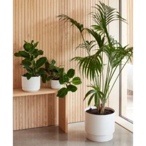 orthex Blumentopf PAULINA, Durchmesser: 170 mm, betongrau