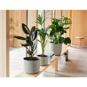 orthex Blumentopf PAULINA