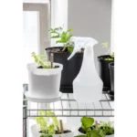 orthex Sprühflasche 0,5 Liter, transparent