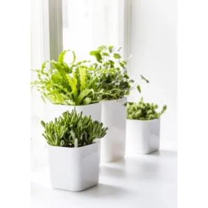 orthex Übertopf EDEN, weiß