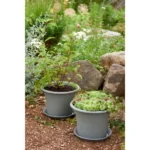 orthex Untersetzer BOTANICA, Durchmesser: 340 mm, grau