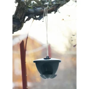 orthex Vogelfutterhaus BIRDIE, grün/anthrazit