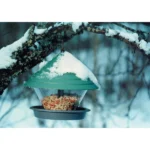 orthex Vogelfutterhaus KATAN, grün