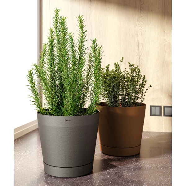 tera Pflanzgefäß "Orione", Durchmesser: 380 mm, ash 2 tera Pflanzgefäß Orione, Durchmesser 380 mm, modern in Ash, ideal für Terrassen und Balkone, wetterfest und langlebig.“