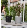 tera Pflanzgefäß Orione, Durchmesser 380 mm, blush, langlebig und UV-beständig, ideal für Balkon und Terrasse.