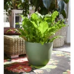 tera Pflanzgefäß "Over", Durchmesser: 380 mm, cloud