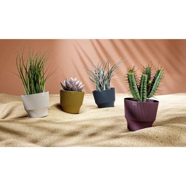 tera Übertopf "Mini", Durchmesser: 150 mm, desert 5 tera Übertopf Mini, Durchmesser 150 mm, in elegantem Desert-Farbton, ideal für kleine Pflanzen und stilvolle Akzente in Ihrem Zuhause.