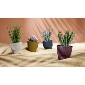 tera Übertopf "Mini"