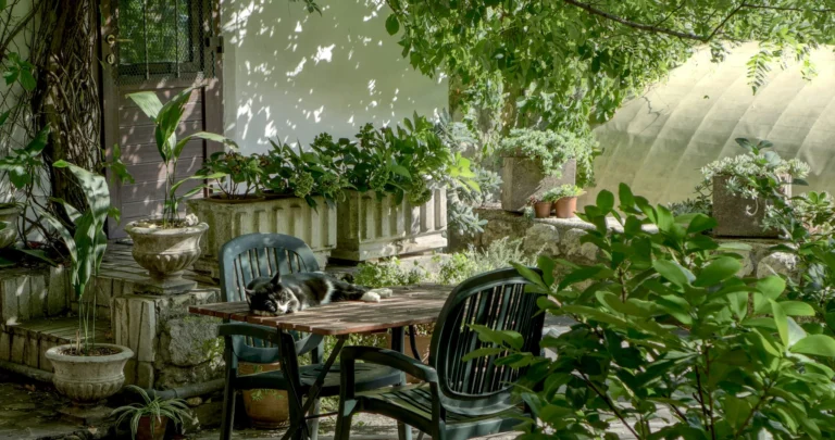 Gartenbesitzer in Österreich: inspirierende Gartengestaltungsideen für eine grüne Oase, perfekt für entspannende Stunden im Freien.