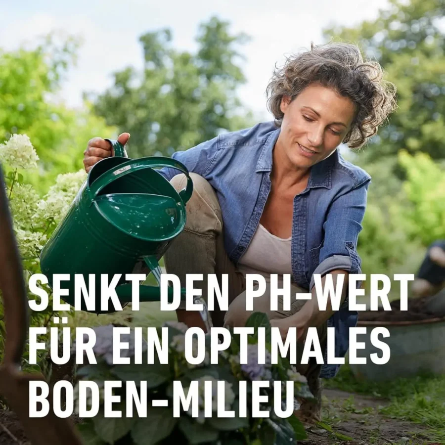 COMPO Rhododendron- und Hortensien-Vital, 1 kg, fördert kräftiges Wachstum und Blütenpracht, ideal für blühende Gartenakzente.