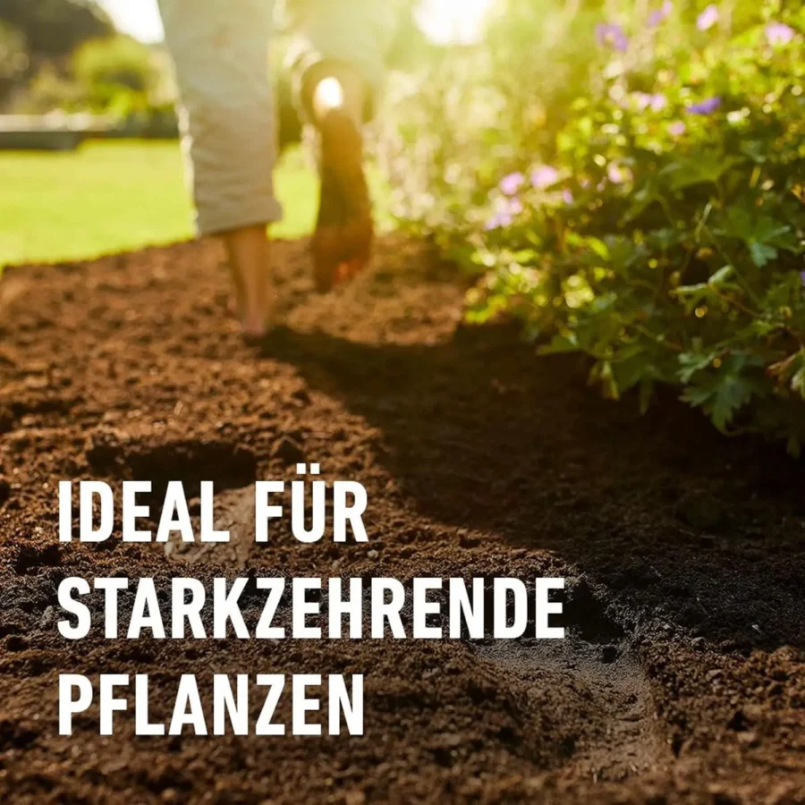 COMPO SANA Balkon- und Kübelpflanzenerde, 50 Liter, ideal für gesunde Pflanzen in Töpfen und Kästen, fördert optimales Wachstum.