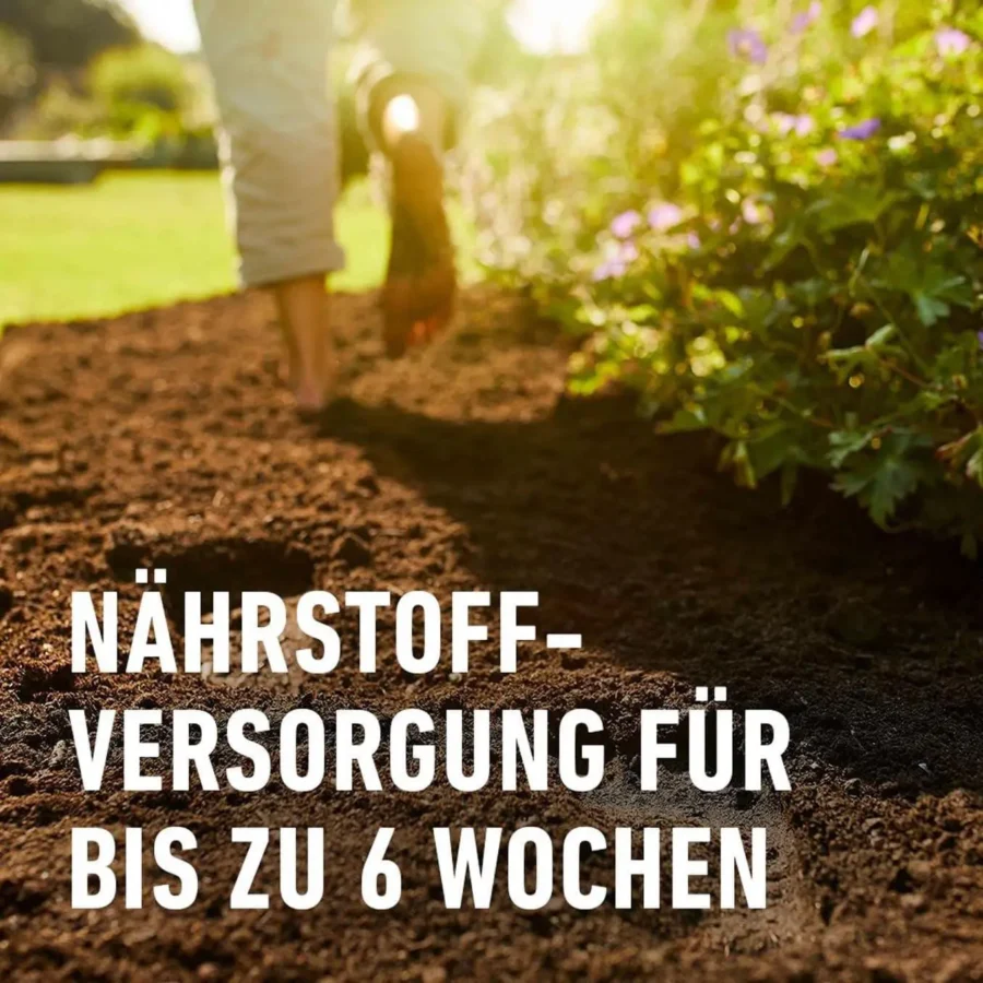 COMPO BIO Anzuchterde, torffrei, 10 Liter, perfekt für gesundes Pflanzenwachstum und nachhaltige Kräuteranzucht.