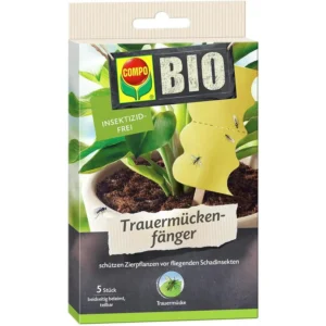 COMPO BIO Trauermückenfänger, Leimfalle, insektizidfrei