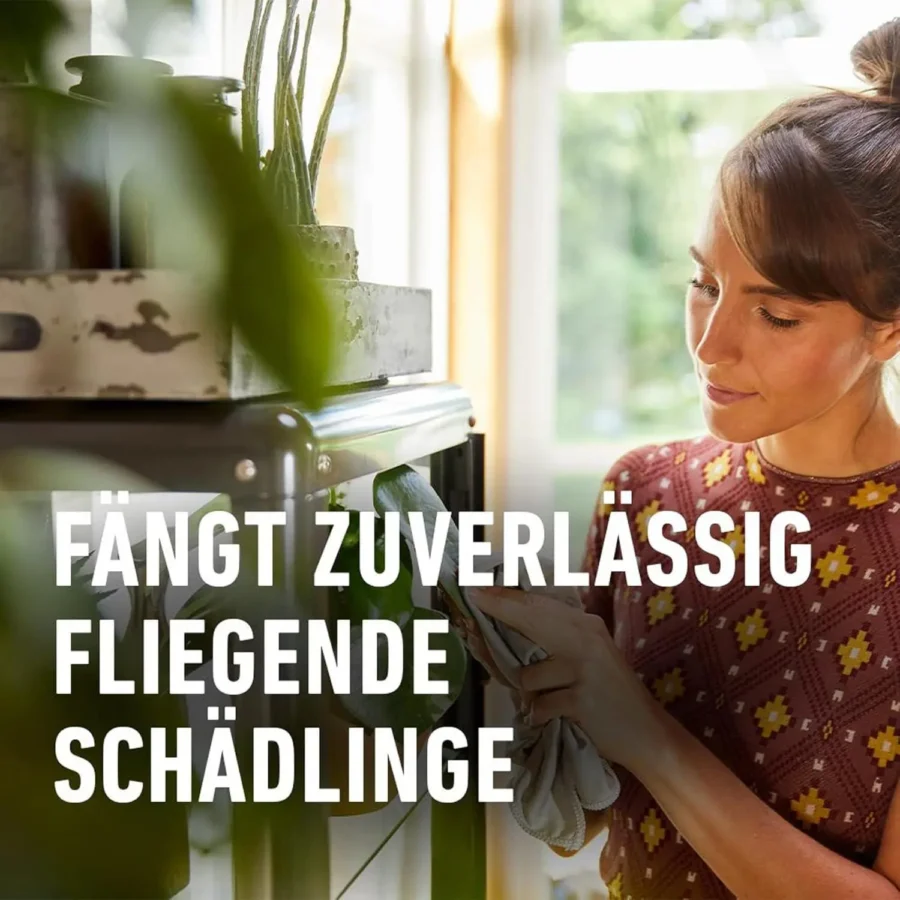 COMPO BIO Gelbsticker Leimfalle, insektizidfrei, 3er Pack, ideal für eine chemiefreie Bekämpfung von Schädlingen im Garten.