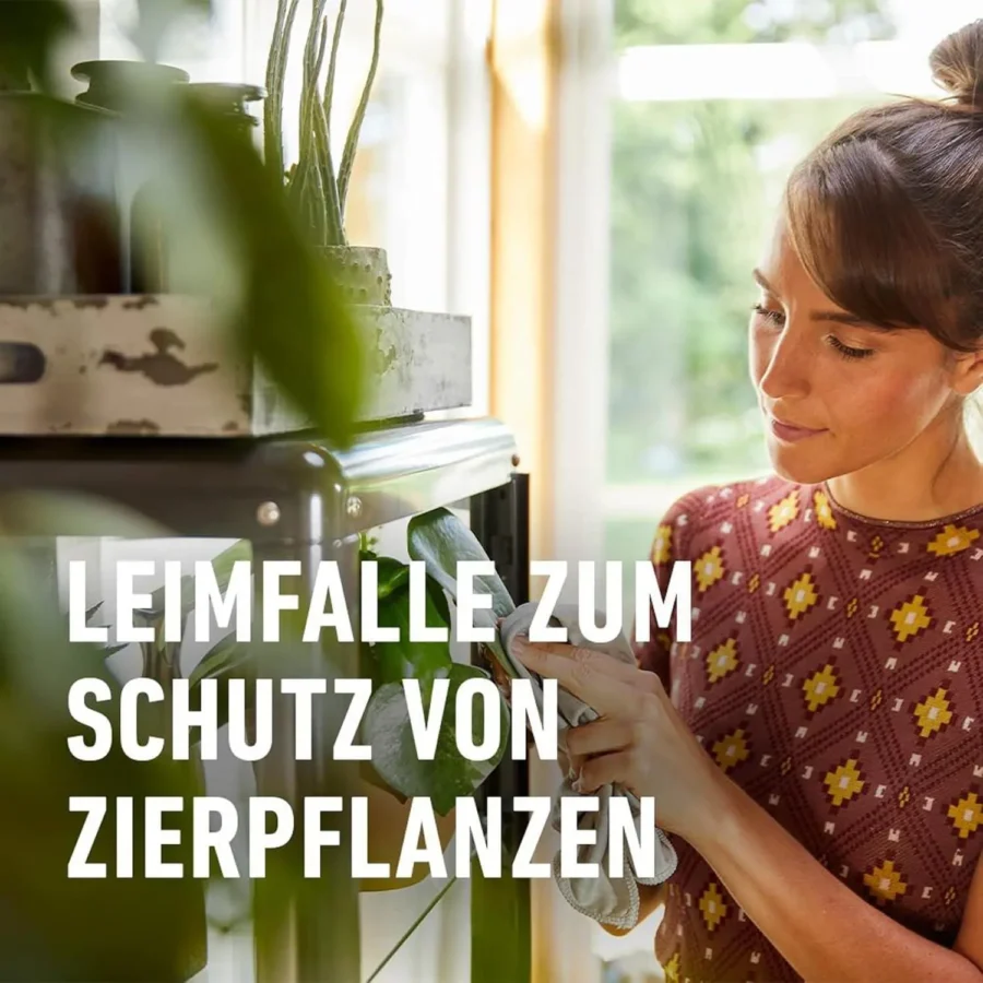 COMPO BIO Gelbtafeln Leimfalle, insektizidfrei, effektive Schädlingsbekämpfung für Gartenpflanzen, umweltfreundlich, 3 Stück.