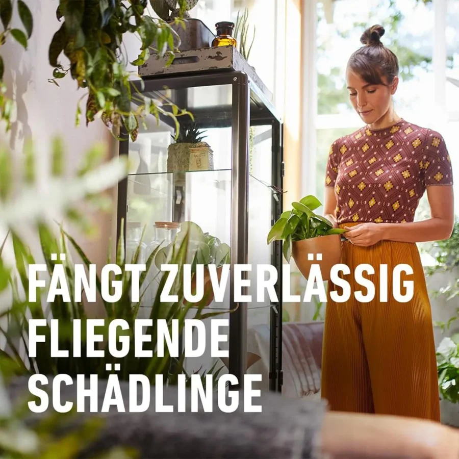 COMPO BIO Gelbtafeln Leimfalle, insektizidfrei, effektiv gegen Schädlinge, ideal für biologische Gartenpflege, 4 Stück.