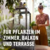 COMPO Blumendünger mit Guano, 1,3 Liter, ideal für gesunde und blühende Pflanzen im Garten oder auf dem Balkon