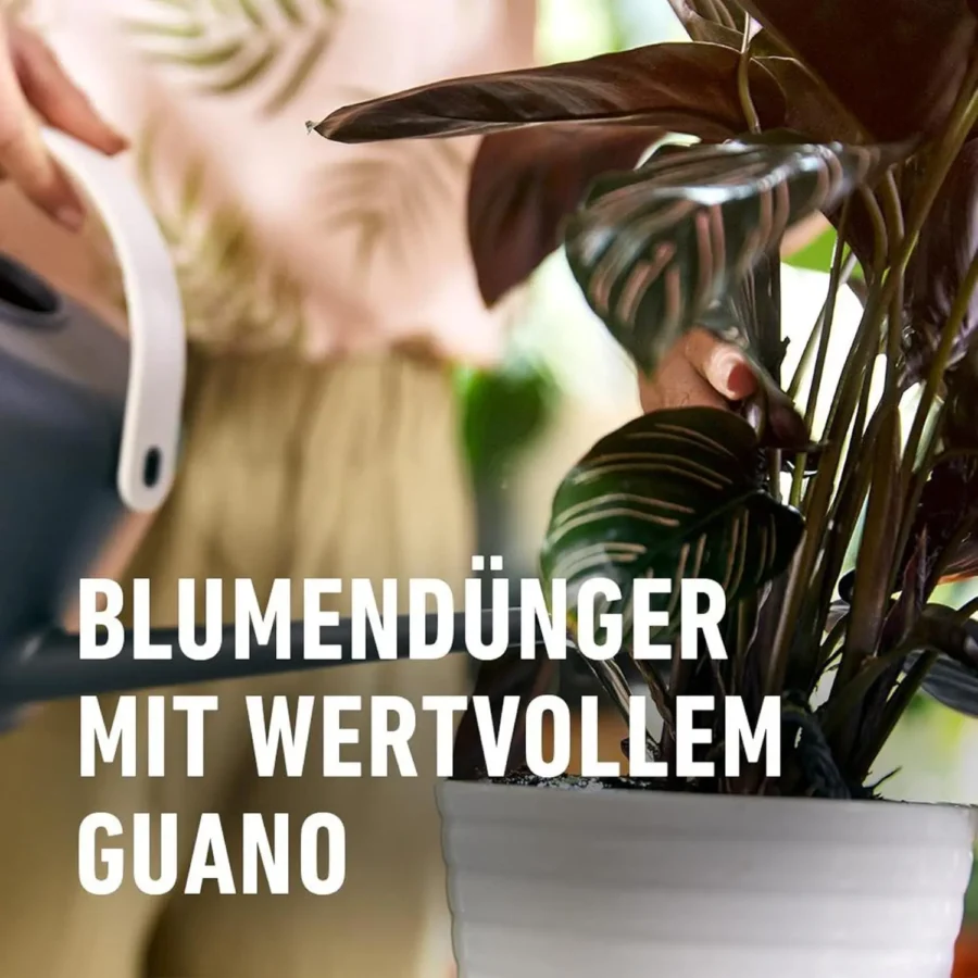 COMPO Blumendünger mit Guano, 2,5 Liter Kanister, ideal für üppige Blühpflanzen und gesundes Wachstum im Garten.