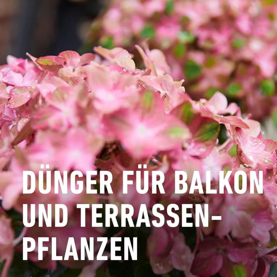 COMPO Qualitäts-Blumendünger, 1 Liter, für kräftige Blumenpracht und gesundes Pflanzenwachstum, einfach dosierbar.