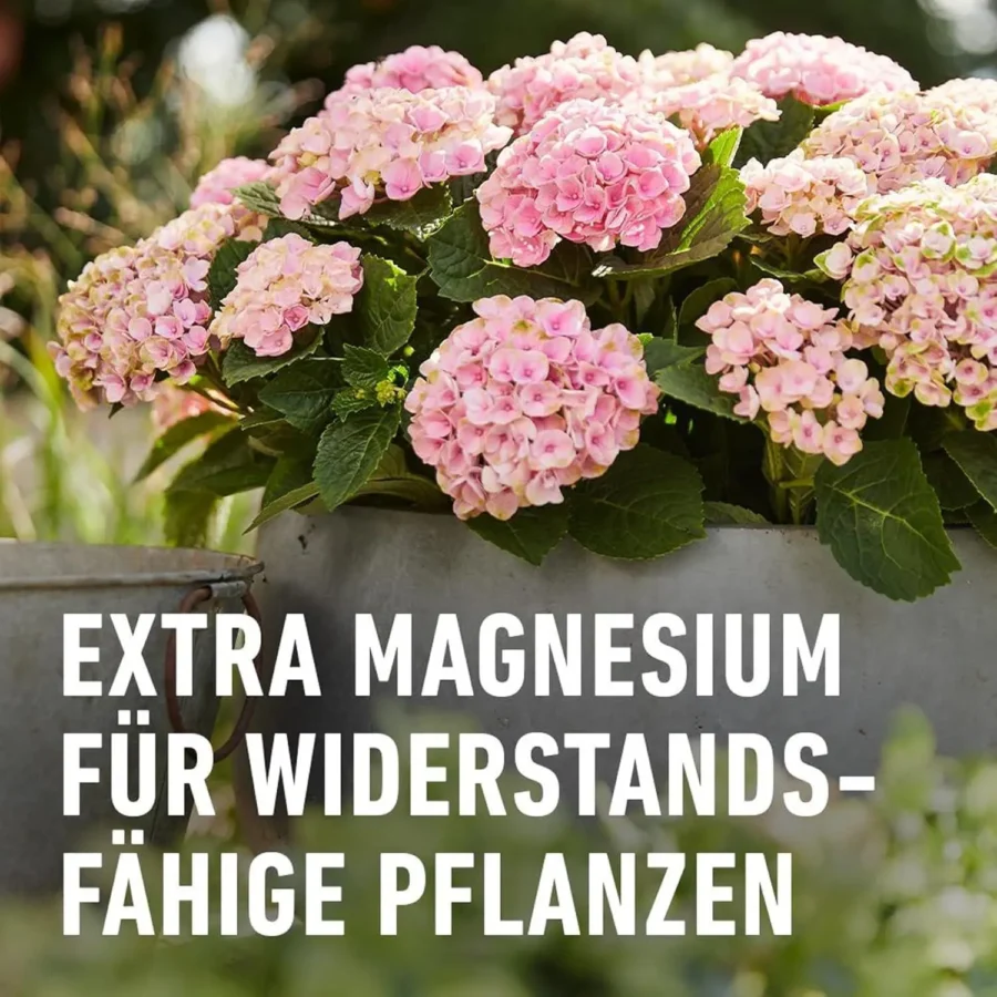 COMPO Qualitäts-Blumendünger, 1 Liter Dosierflasche, ideal für kräftige Blüten und gesundes Pflanzenwachstum, einfach dosierbar.