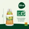 COMPO Kakteen- und Sukkulentendünger, 250 ml Dosierflasche, ideal für gesundes Wachstum von Sukkulenten und Kakteen, nährstoffreich und einfach anzuwenden.