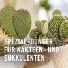 Kakteen- und Sukkulentendünger, 250 ml Dosierflasche, ideal für gesundes Wachstum von Sukkulenten und Kakteen – nährstoffreich und einfach anzuwenden.