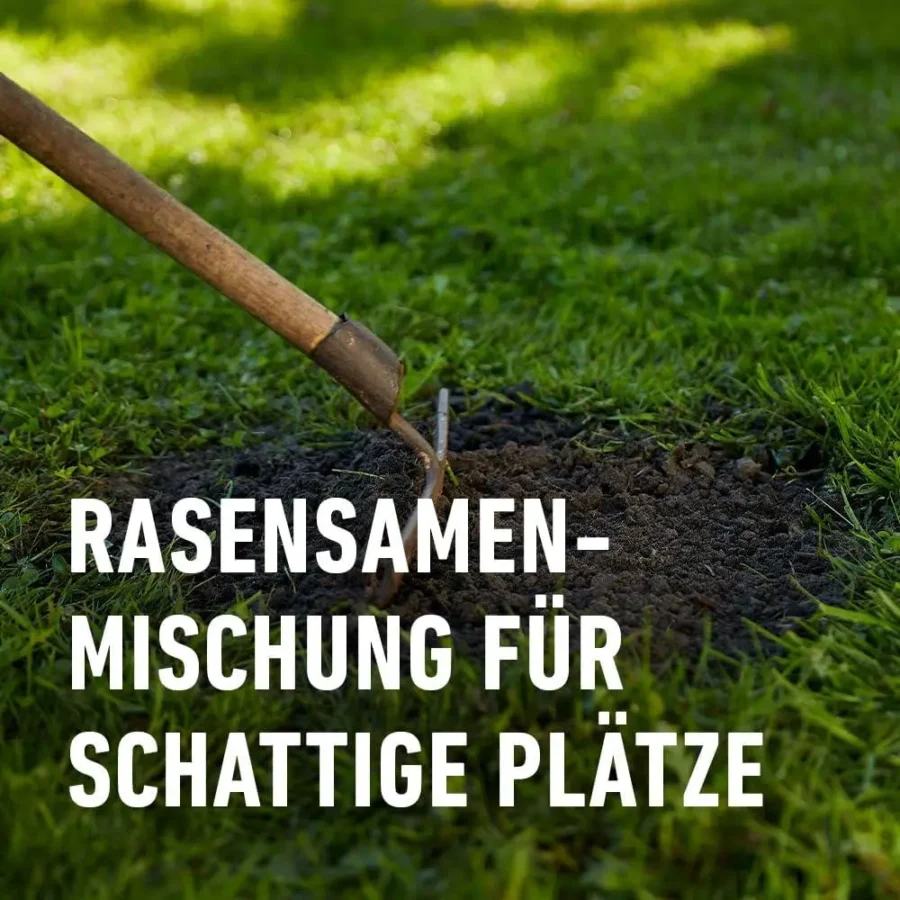 Schatten-Rasen für 50 qm, ideal für schattige Gartenbereiche, 1 kg COMPO SAAT für robusten, grünen Rasen.