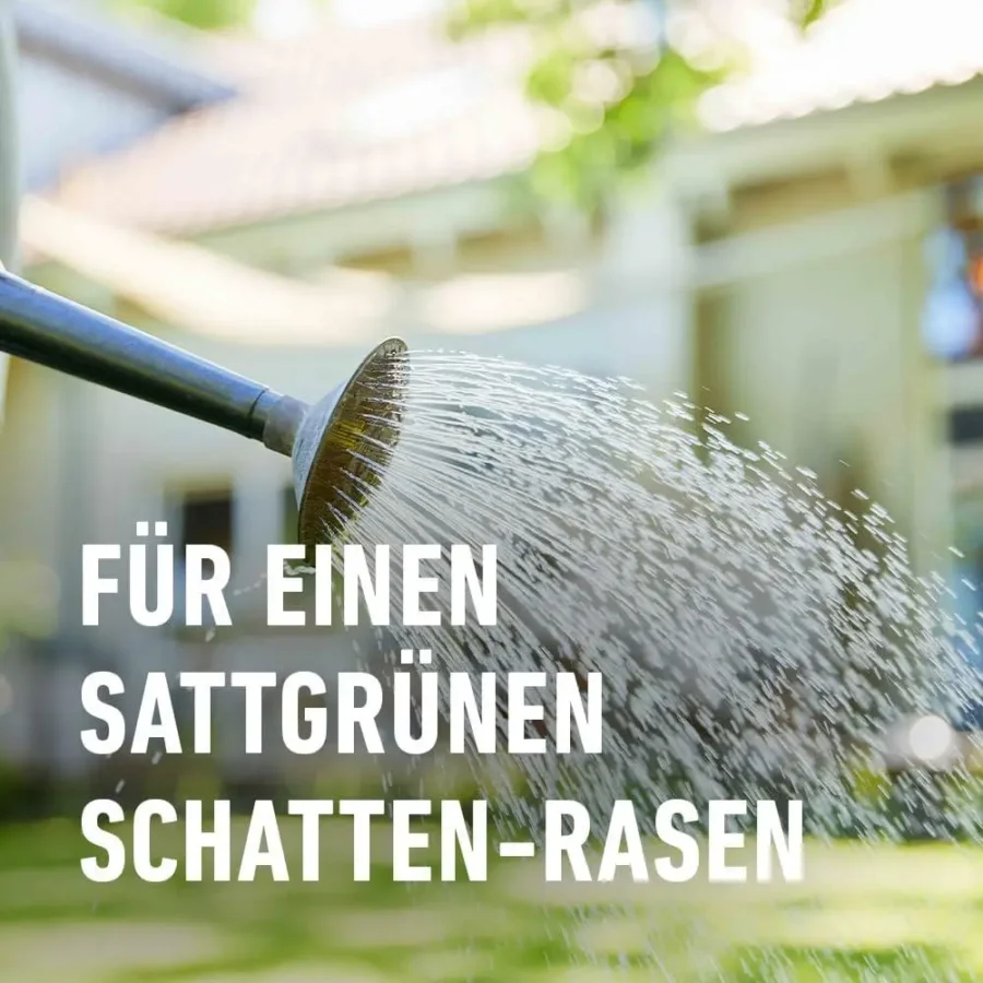 Schattenrasen-Saatgut, 1 kg für 50 qm, ideal für schattige Gärten, robust und pflegeleicht.