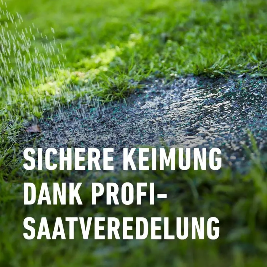 Schatten-Rasen von COMPO SAAT, 1 kg für 50 qm, ideal für schattige Gärten und robust gegen Trockenheit.