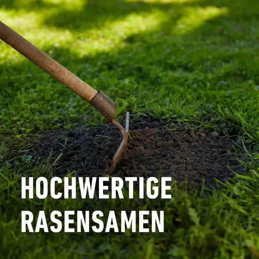 Strapazier-Rasen von COMPO SAAT, 1 kg für 50 qm, ideal für belastbare Rasenflächen und ein attraktives Grün im Garten.