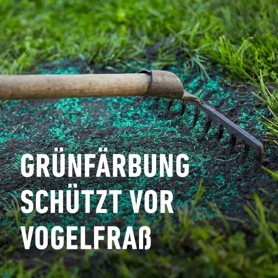Strapazier-Rasen von COMPO SAAT, 1 kg, für 50 qm, ideal für robuste Gärten und Spielflächen, fördert gesundes Wachstum und Langlebigkeit.