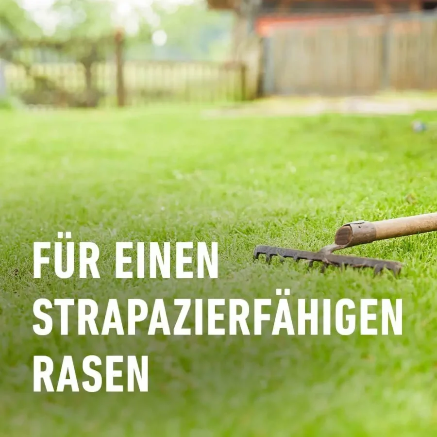 Strapazier-Rasen von COMPO, 1 kg für 50 qm, ideal für belastbare Gärten und Spielplätze, schnell wachsend und pflegeleicht.