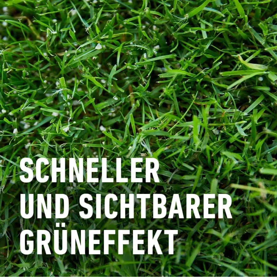 60010254-COMPO Rasen-Dünger, 20 kg, optimale Langzeitwirkung für gesunden Rasen bis 800 qm, nährstoffreich und einfach anzuwenden.