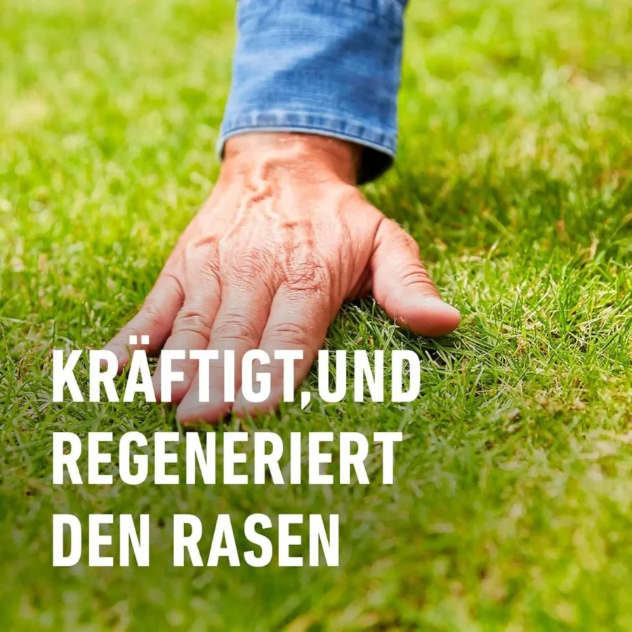 COMPO Rasendünger gegen Unkraut und Moos, 1,3 Liter, sorgt für einen gesunden, kräftigen Rasen ohne schädliche Pflanzen.