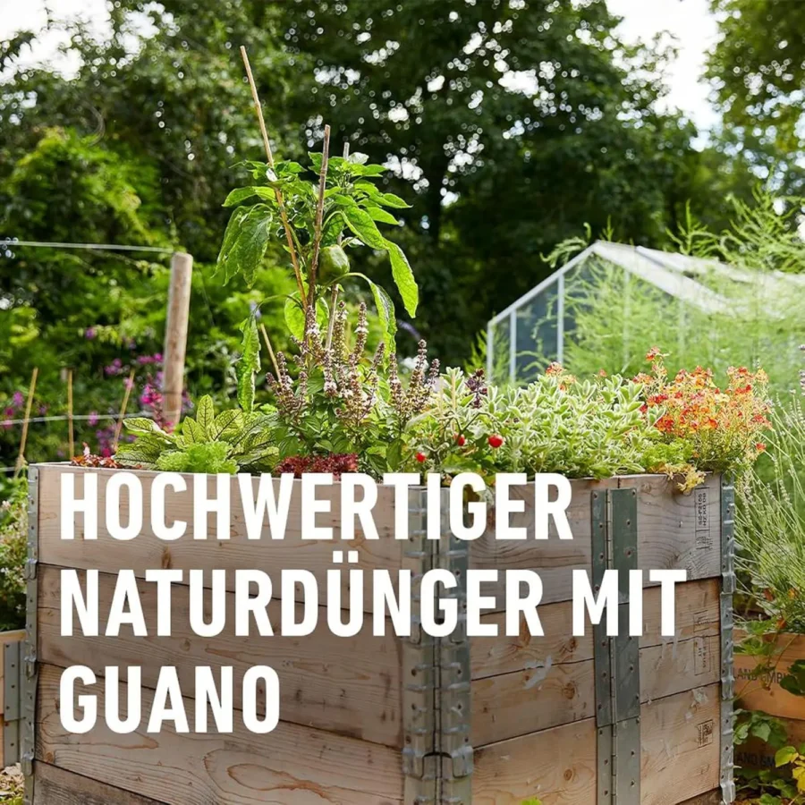 COMPO BIO NaturDünger Guano, 1 kg, organischer Dünger für kräftiges Pflanzenwachstum, ideal für biologischen Gartenbau.