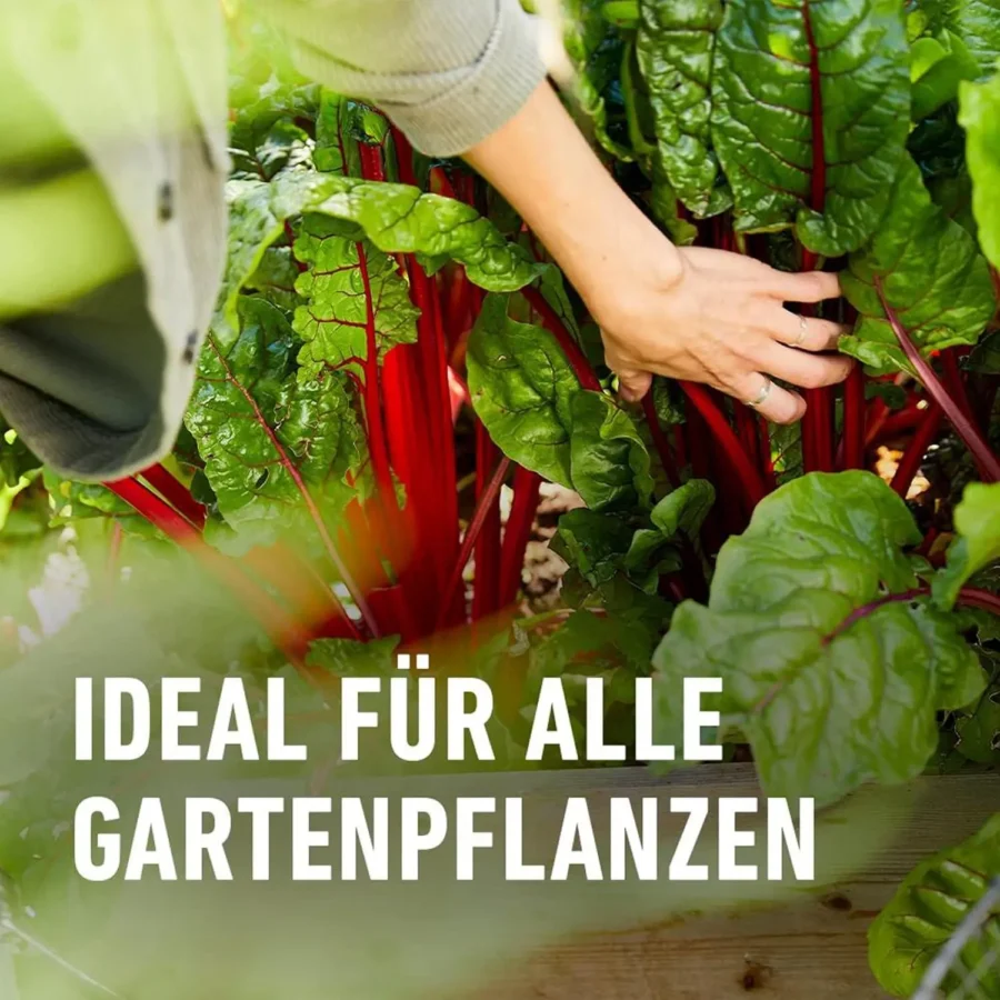 COMPO BIO Naturdünger Guano, 1 kg, stärkt das Pflanzenwachstum mit natürlichen Nährstoffen, ideal für gesunde und kräftige Pflanzen.