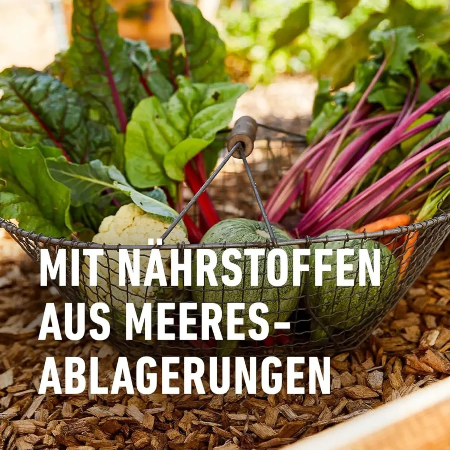Compo Bio Naturdünger Guano, 1 kg, organischer NPK-Dünger für kräftiges Pflanzenwachstum, ideal für gesundes Gärtnern.