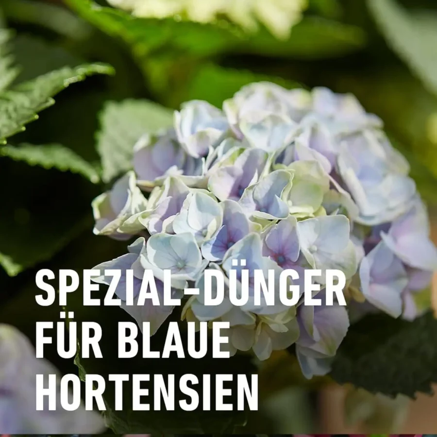 COMPO Spezialdünger für blaue Hortensien, 800 g, ideal für leuchtende Blüten und gesundes Pflanzenwachstum.