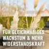 COMPO Bambus-Ziergräser Langzeit-Dünger, 850 g, für gesundes Pflanzenwachstum, nährstoffreich und vor allem ideal für Bananen und grüne Pflanzen.