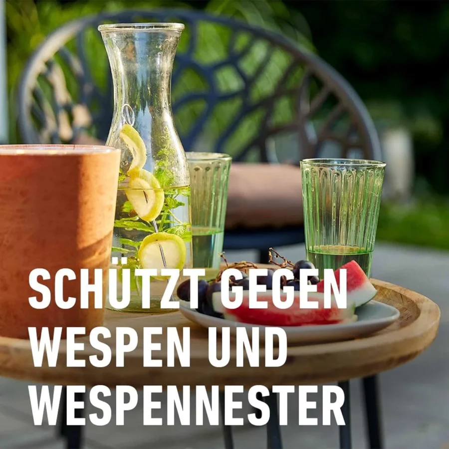 COMPO Wespen Power Spray 500 ml, effektives Insektenspray für schnell wirksame Wespenbekämpfung, ideal für Garten und Terrasse.