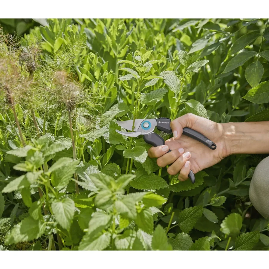 Gardena EcoLine Gartenschere, robust und ergonomisch, ideal zum präzisen Schneiden von Pflanzen und Sträuchern.“