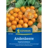 Kiepenkerl Andenbeere, gesunde Kapstachelbeere, ertragreich und schmackhaft, ideal für den heimischen Garten – biologisch anbauen und genießen!