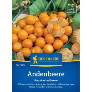 Andenbeerensamen Kapstachelbeere